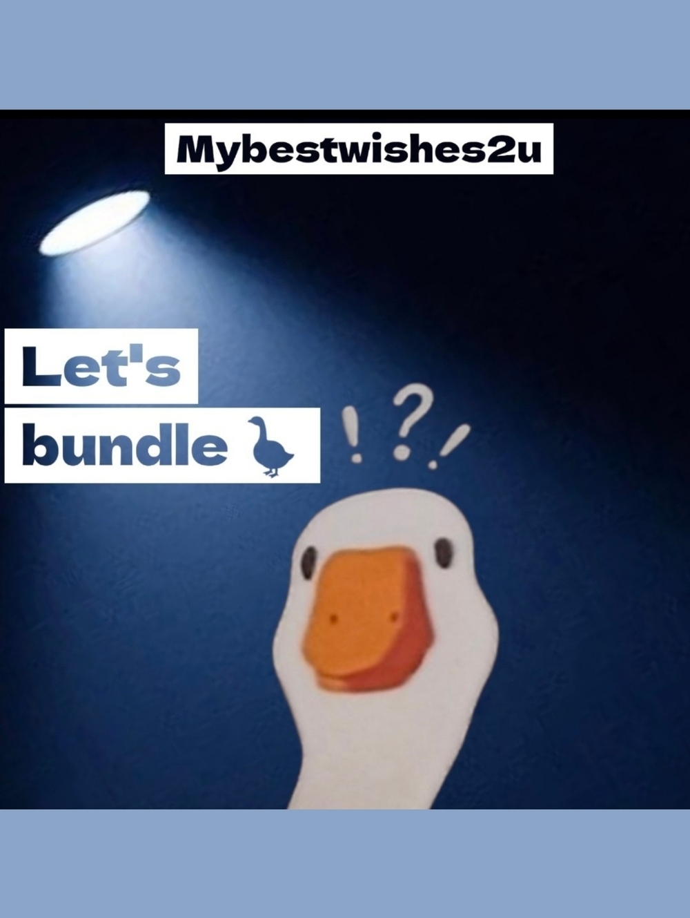 Let's Bundle 🪿🧡 - Picture 4 of 5